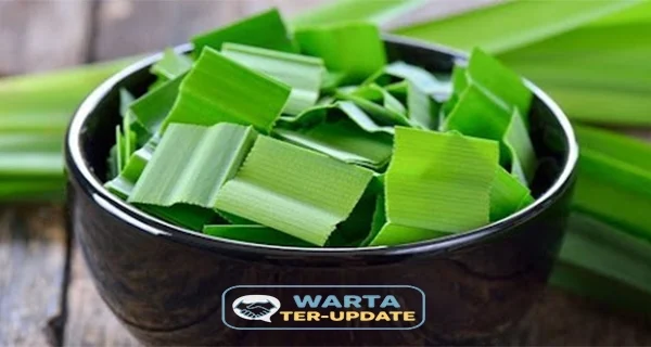 Ini 7 Manfaat Menakjubkan Daun Pandan Bagi Kesehatan Tubuh