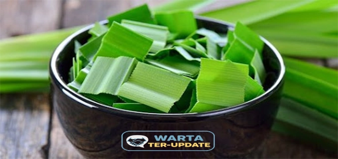 Ini 7 Manfaat Menakjubkan Daun Pandan Bagi Kesehatan Tubuh