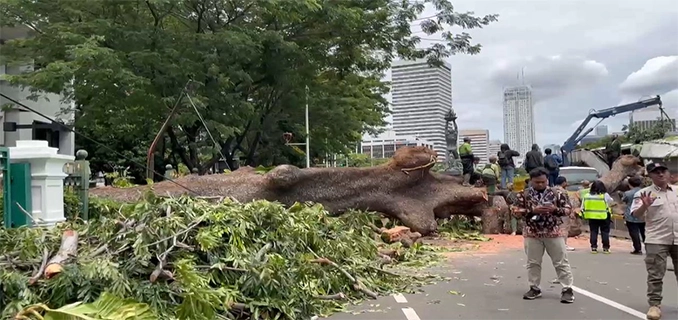 Insiden MRT Jakarta Pohon Tumbang Sebabkan Evakuasi Massal