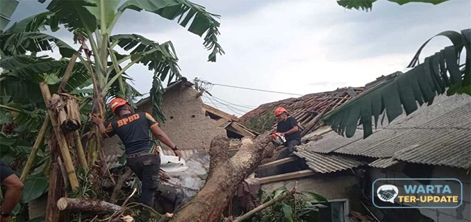 Banjir Pohon Jatuh Bogor 459 Warga Terkena 52 Rumah Rusak
