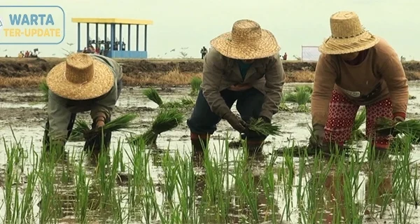 Pemkab Lebak Gratiskan PBB untuk Lahan Petani Bawah 5.000 m²